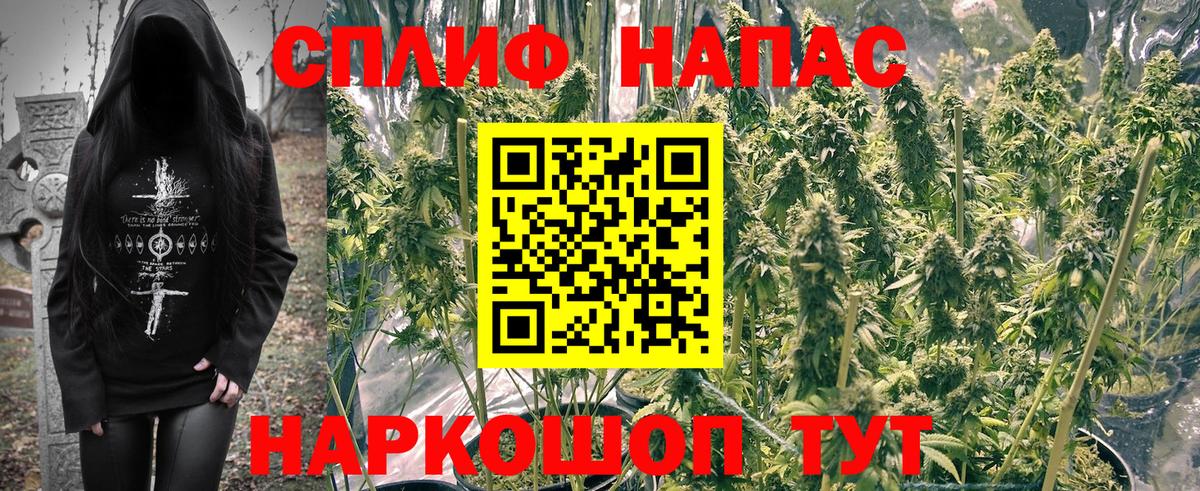 Фрязино  Бошки Шишки гибрид  МАРИХУАНА Bruce Banner  Вход с VPN 